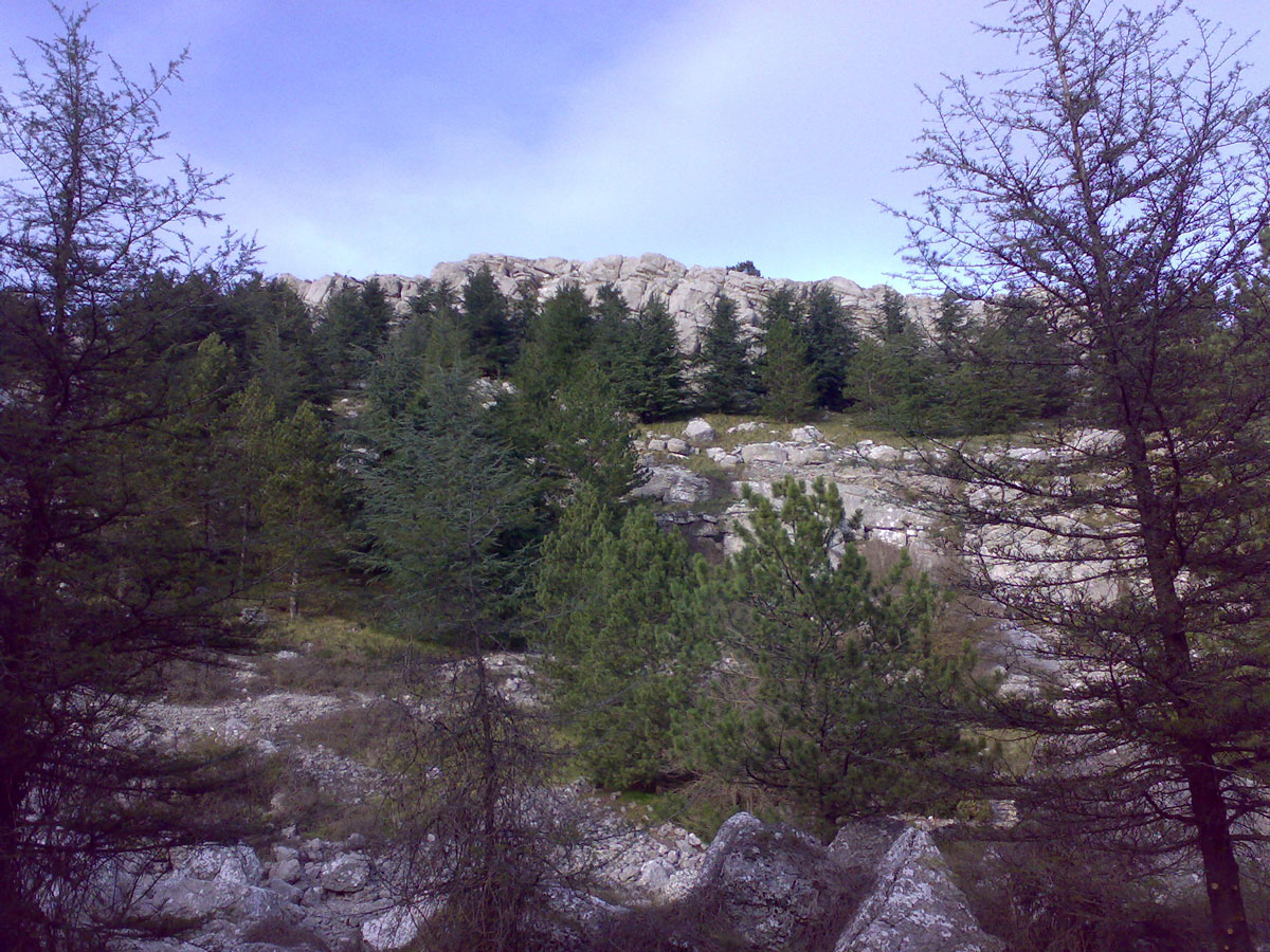 parco naturale monte-Cammarta